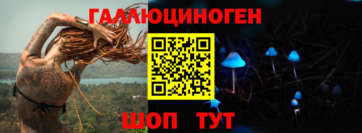 Псилоцибиновые грибы Psilocybine cubensis Тихорецк